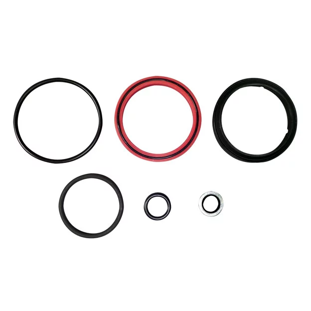 SVI BH-7232-18R-SK Seal Kit for 16138R Cylinder